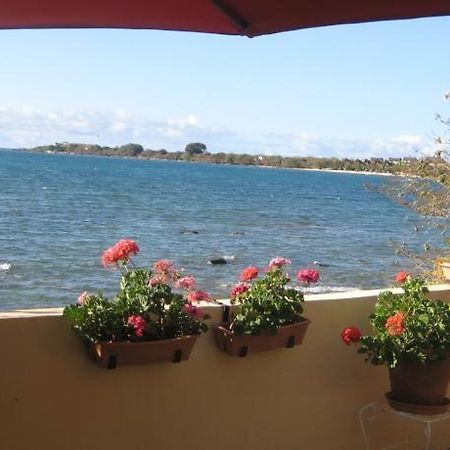 Le Cactus Guesthouse Terre Rouge (Mauricio) Exterior foto