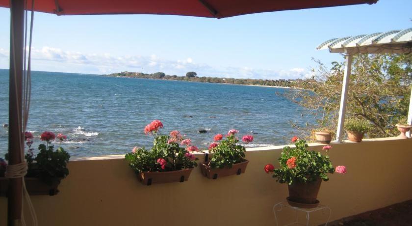 Le Cactus Guesthouse Terre Rouge (Mauricio) Exterior foto